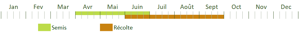 Calendrier de culture